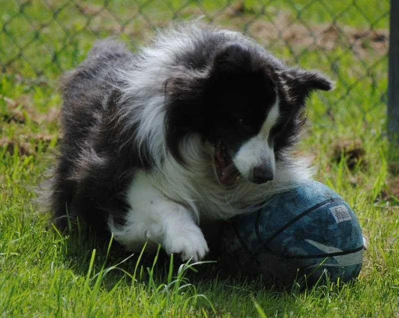 Jordie 7 years old - no-one has told him to grow up!
