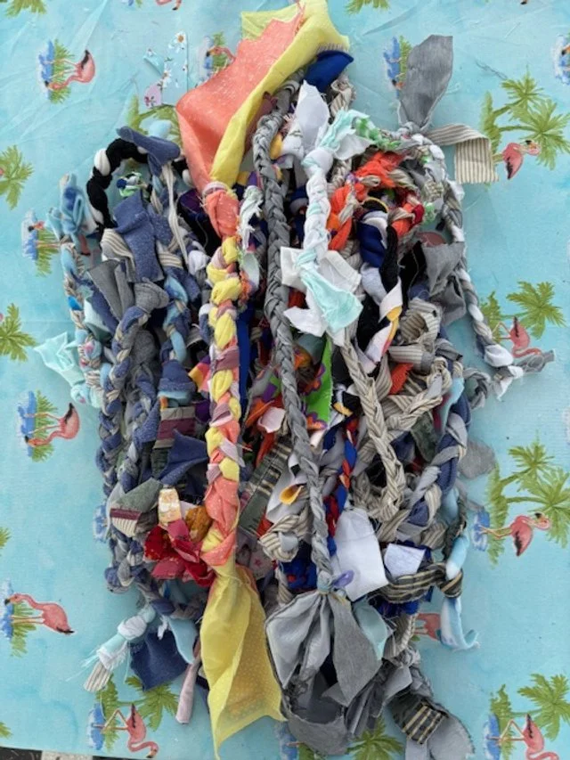Paws for a Cause: Dog Toy Drive