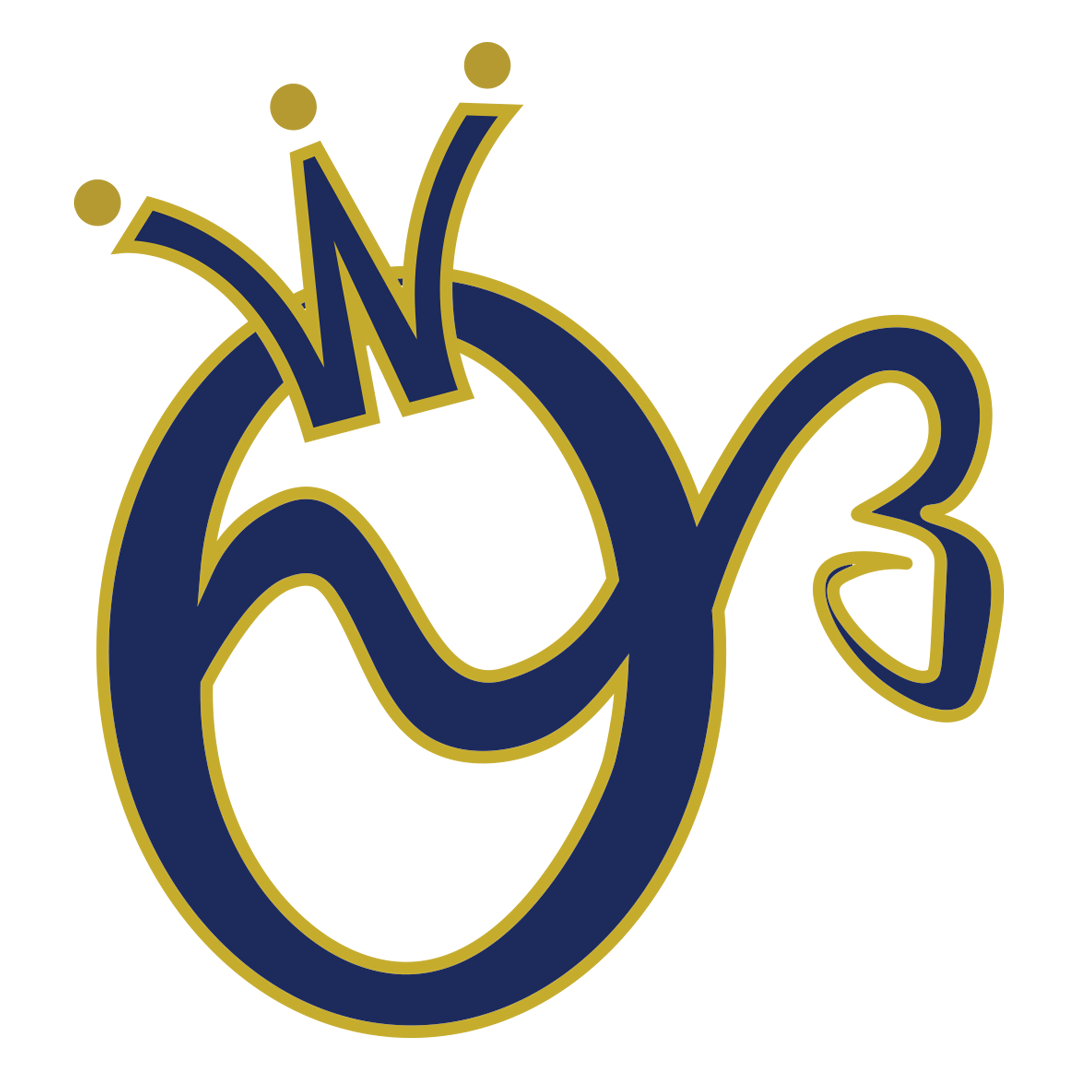 OW Strategic Business Consultant