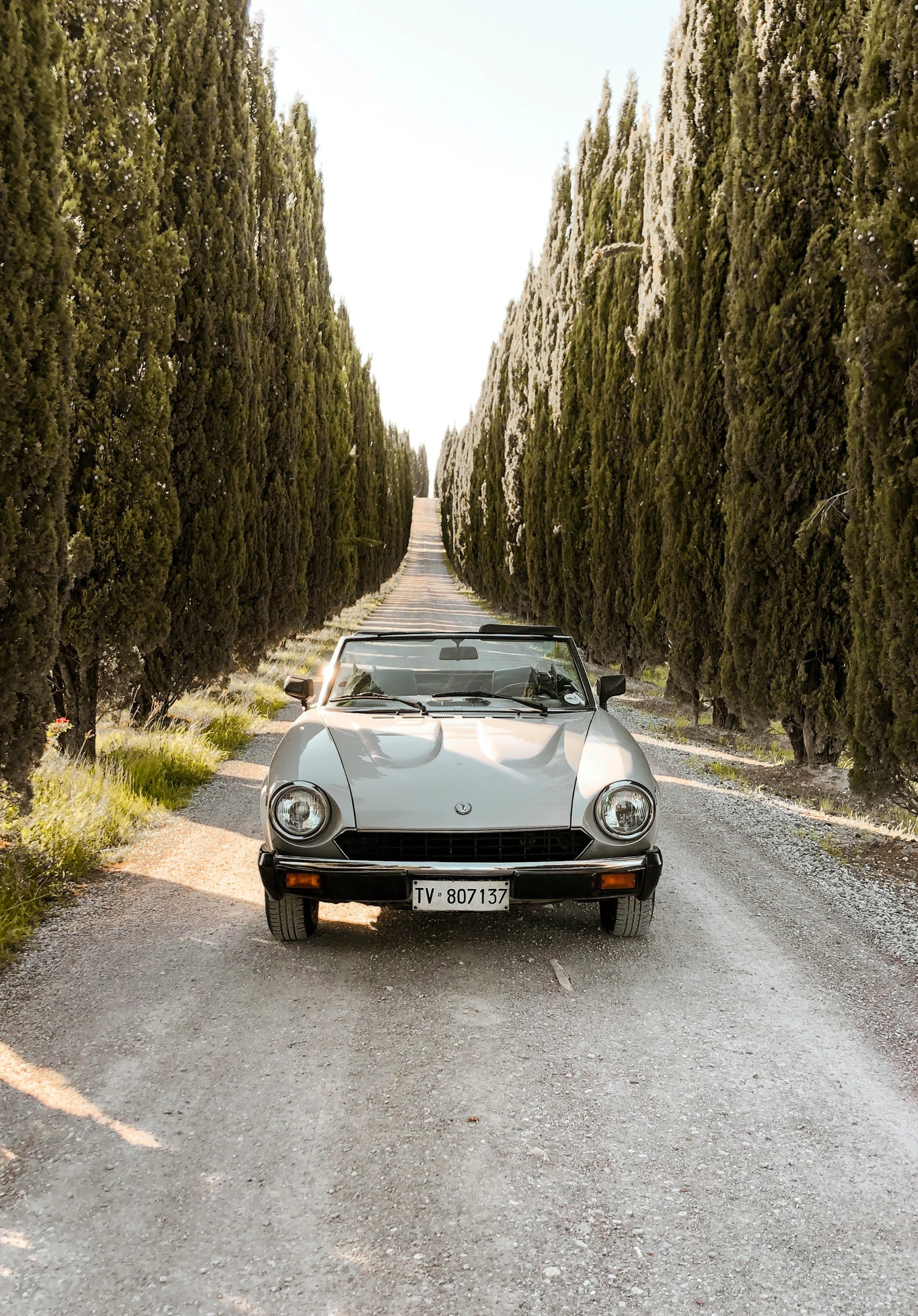 A classic silver convertible car parked on a gravel road, flanked by tall, dense green trees forming a tunnel-like corridor.