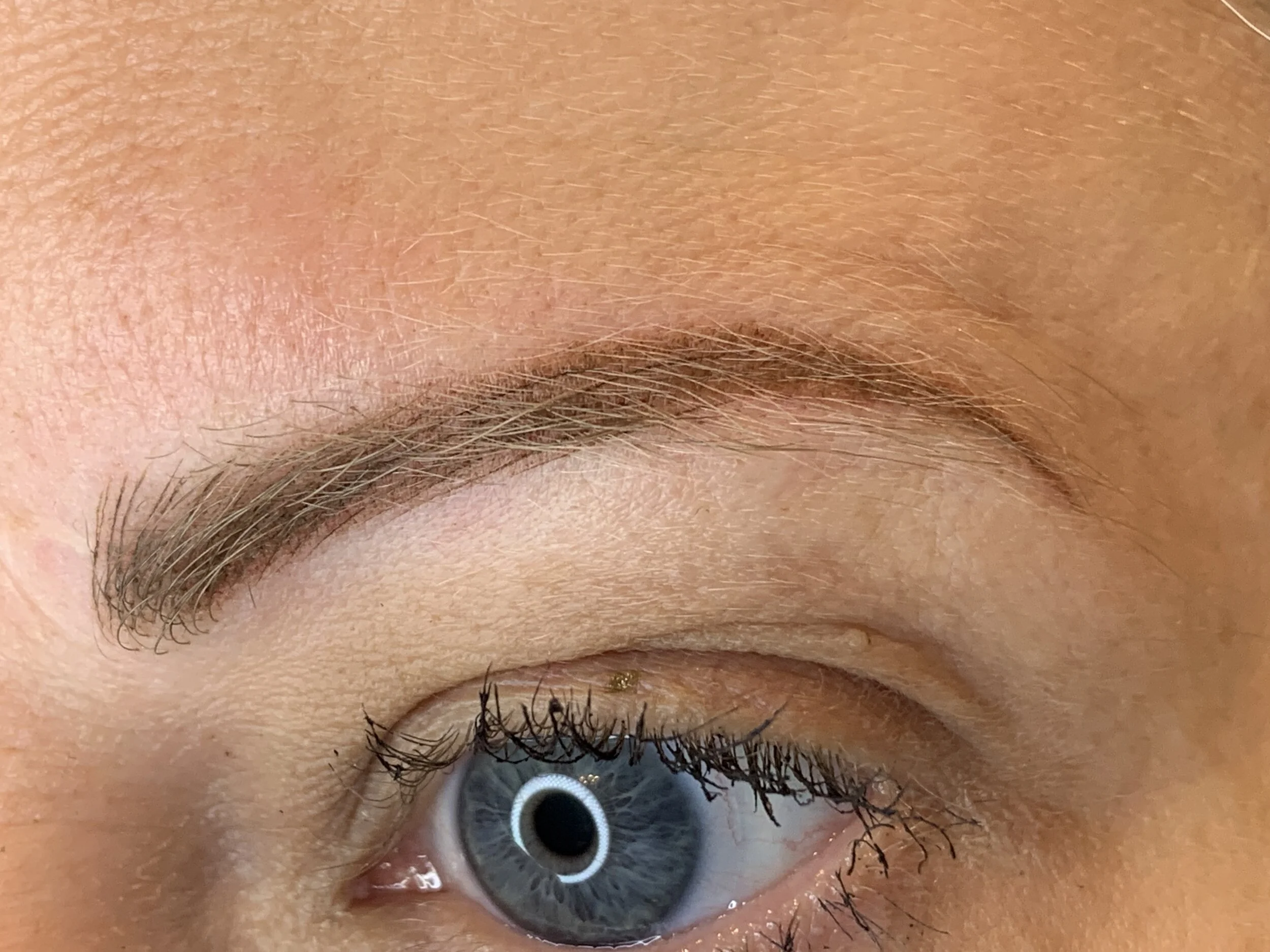 SoftPowderBrow_Blondebrow.JPG