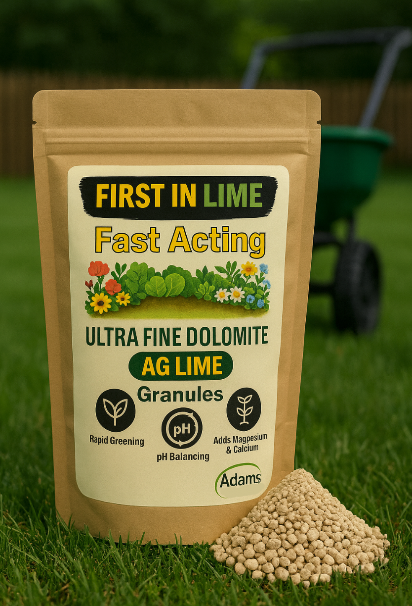 Screenshot 2025-12-17 at 7.19.59 AM.png