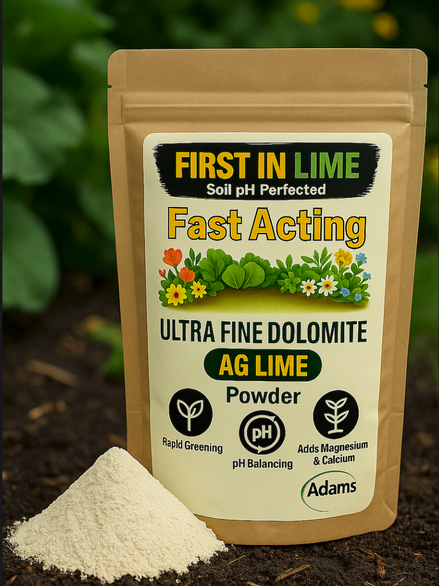 Screenshot 2025-12-16 at 8.13.20 PM.png