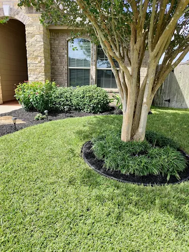 Front yard with a large tree, trimmed bushes, and a well-maintained lawn in front of a house with stone and siding exterior.