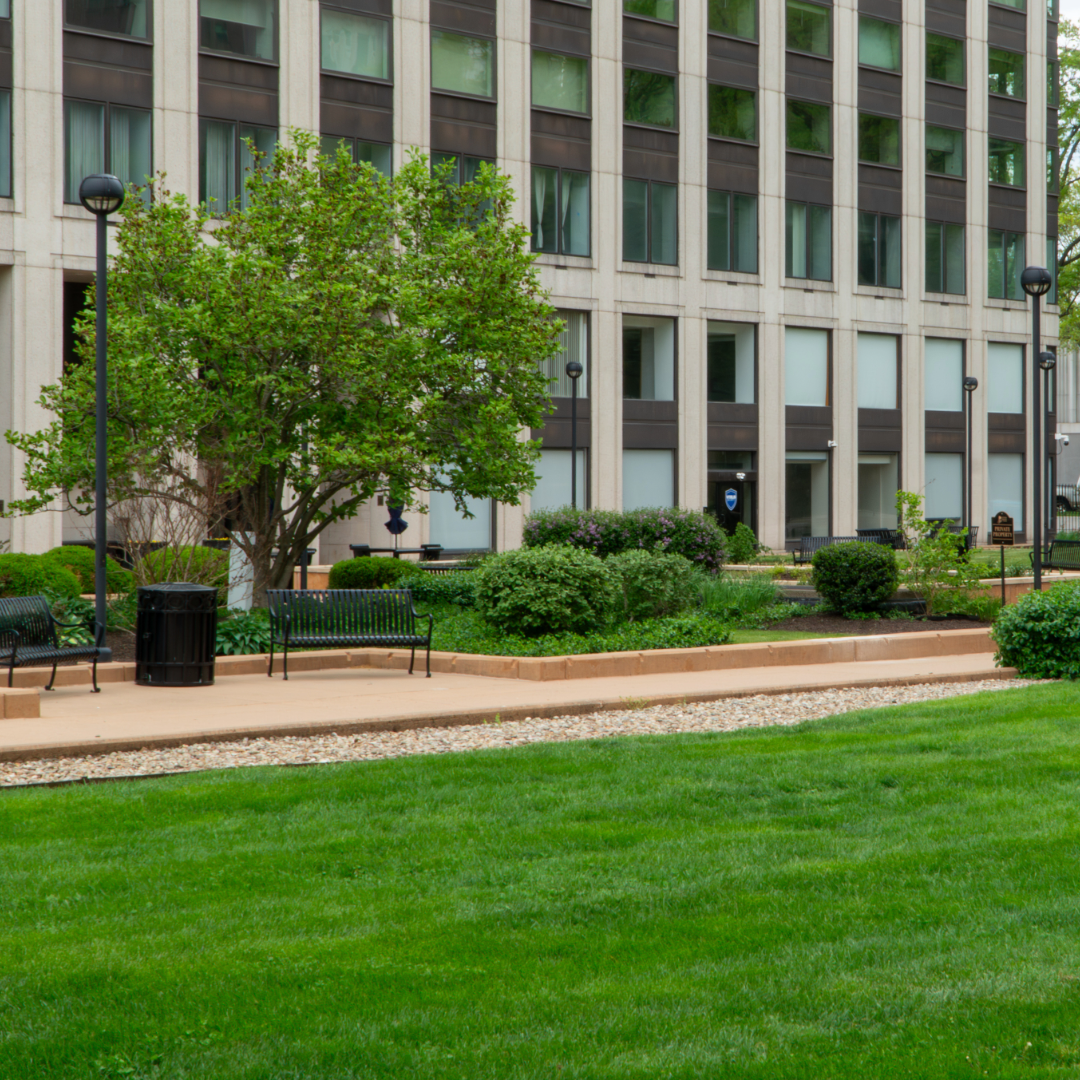 Corpus Christi Commercial Landscaping: What to Look for in a Vendor