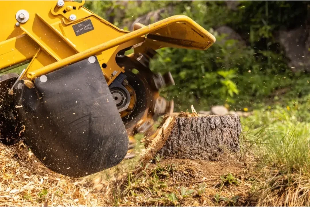 A yellow stump grinder cutting down a tree trunk in a grassy area.