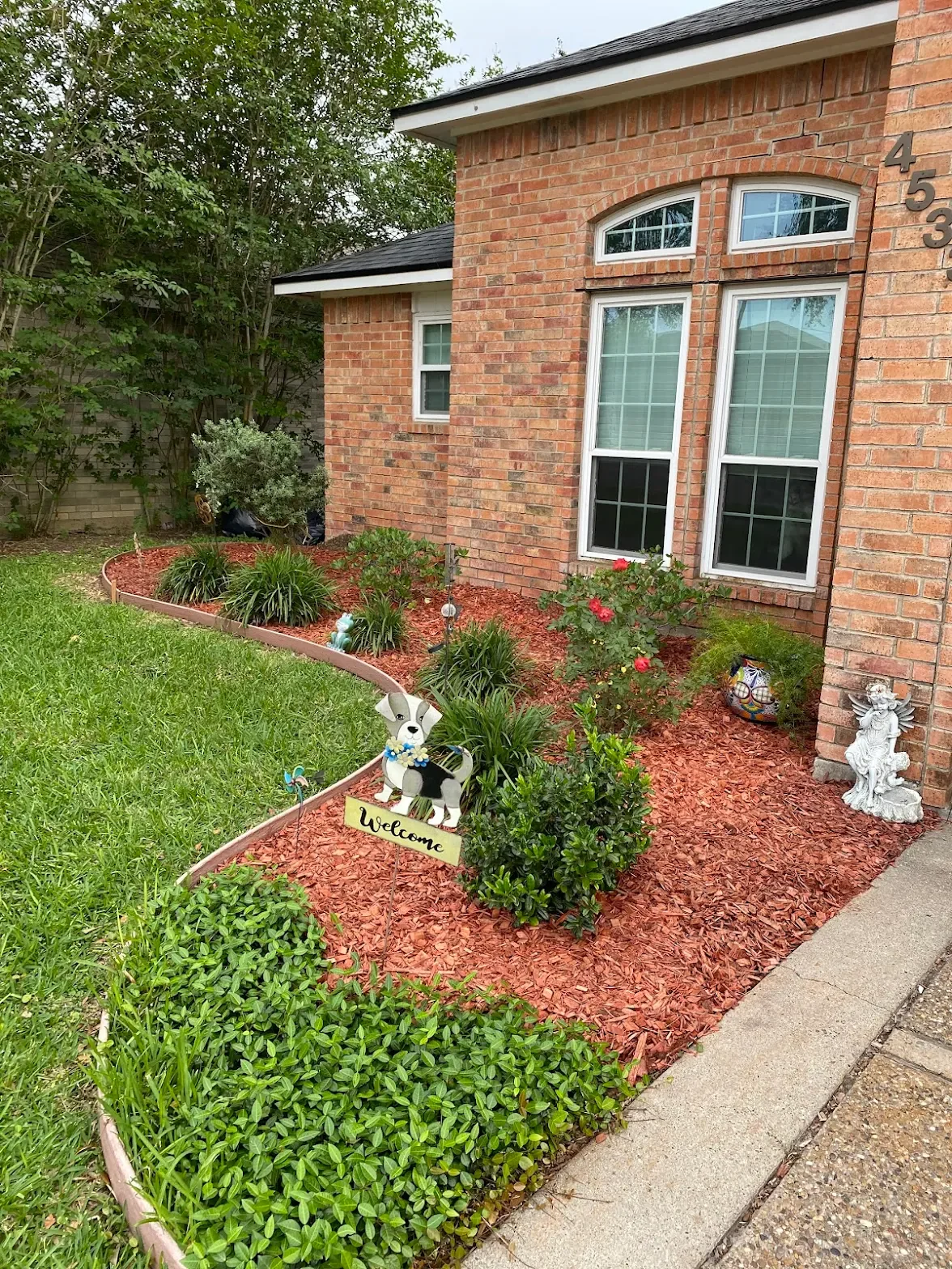 Landscaping front of house