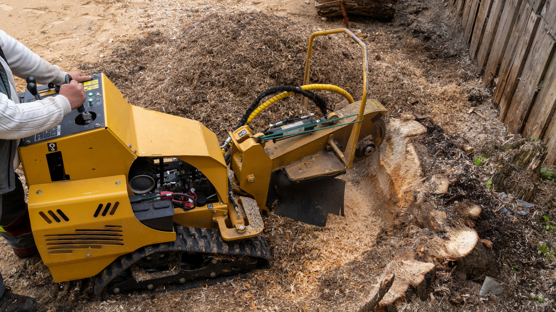 Person operating a yellow stump grinder cutting down a tree stump in a dirt yard next to a wooden fence.