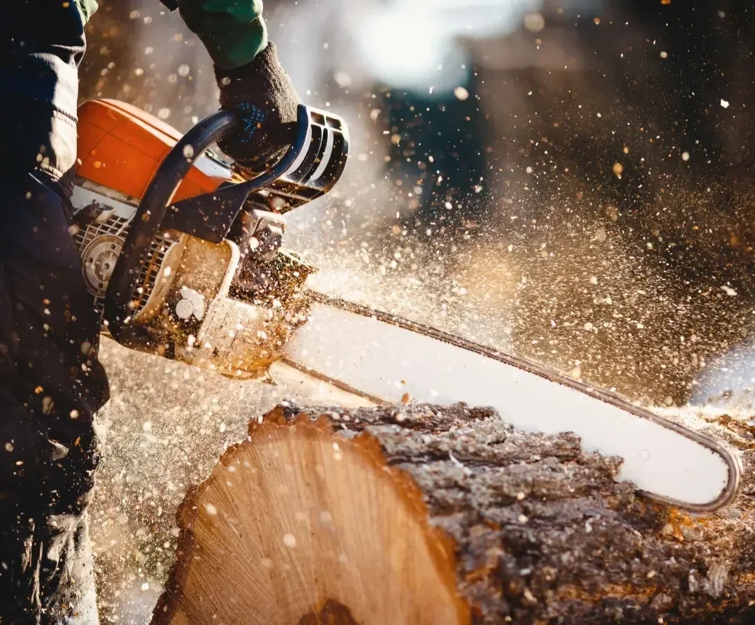 Person using a chainsaw to cut through a log of wood outdoors.
