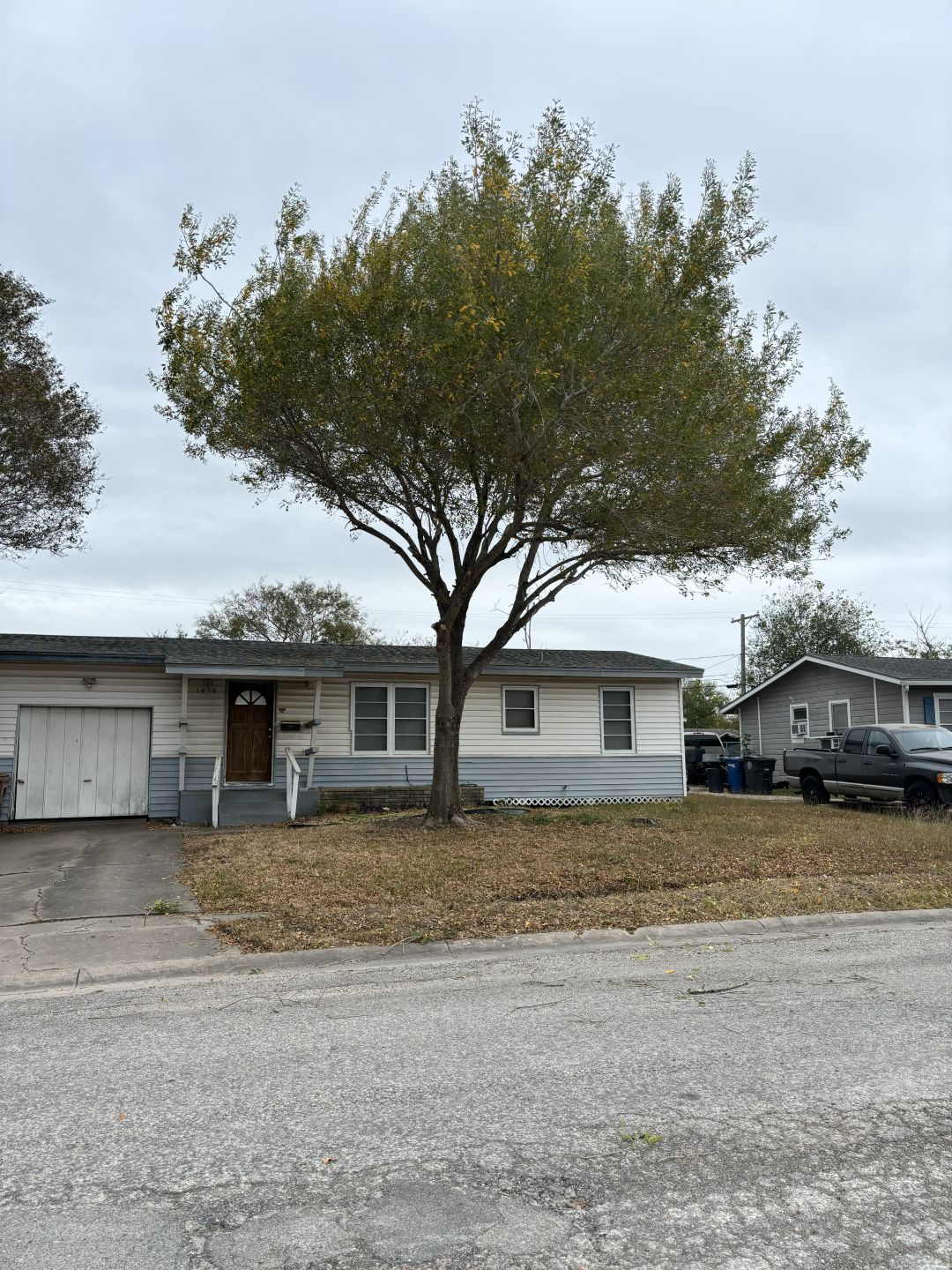 A house with a large tree in front, overcast sky, driveway, and a pickup truck parked to the right.