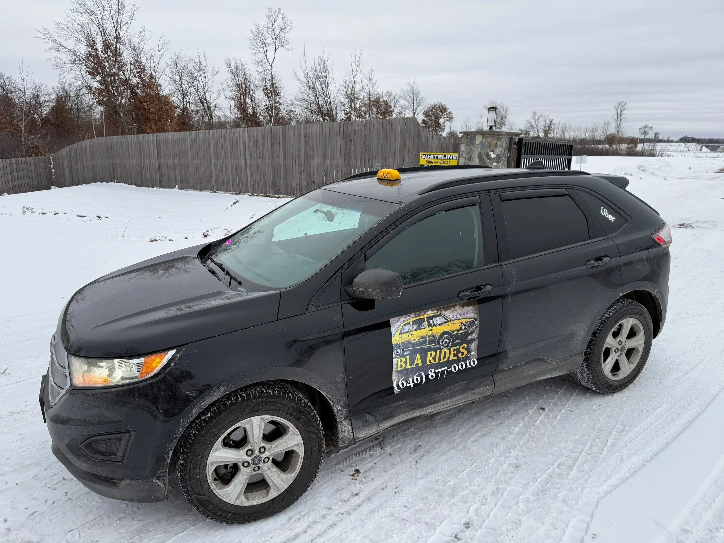 Dylan White installed the decals beautifully and I never could’ve done it like that