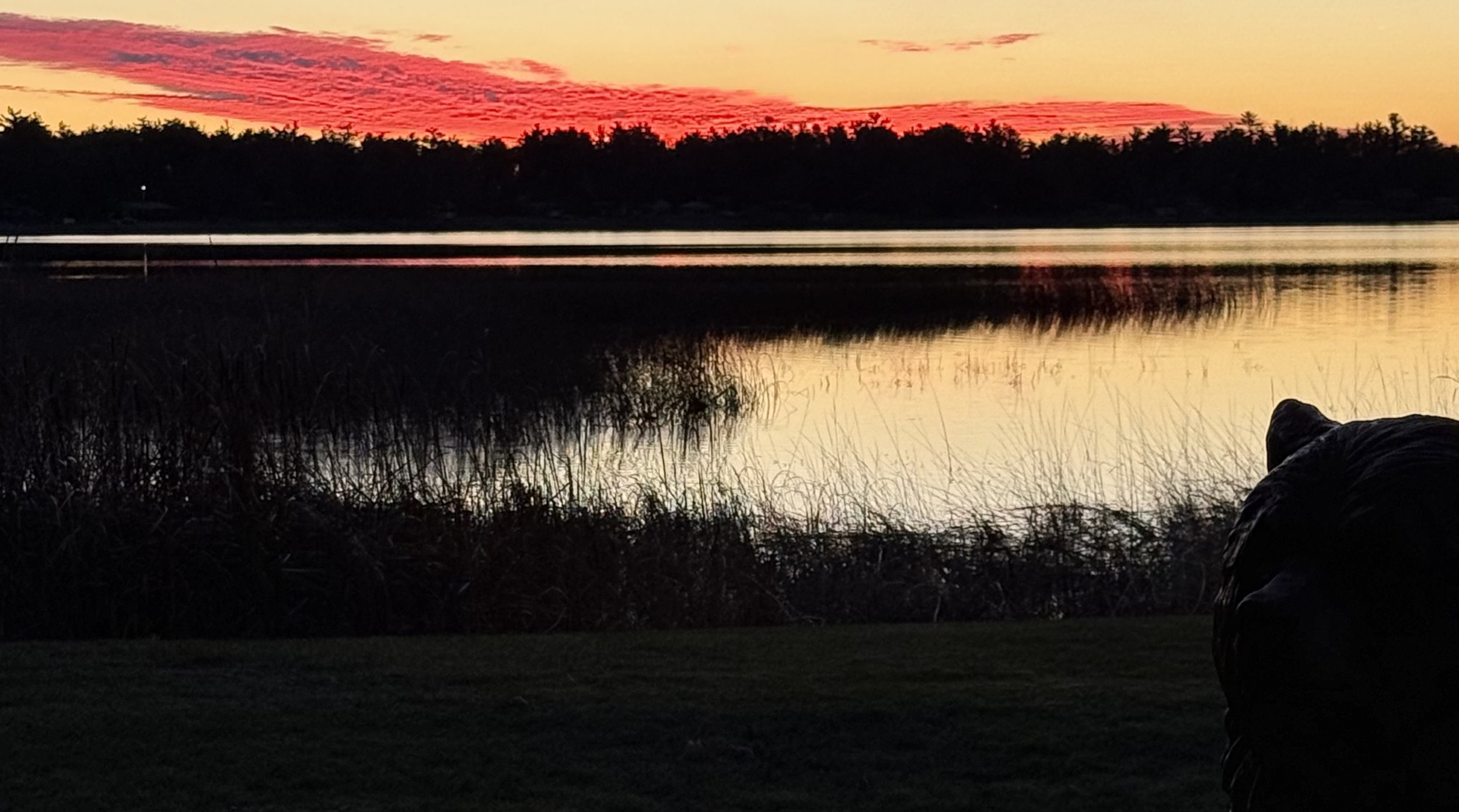 Hot deal on BLA ride 20% off Minneapolis to the BLA or the other way around