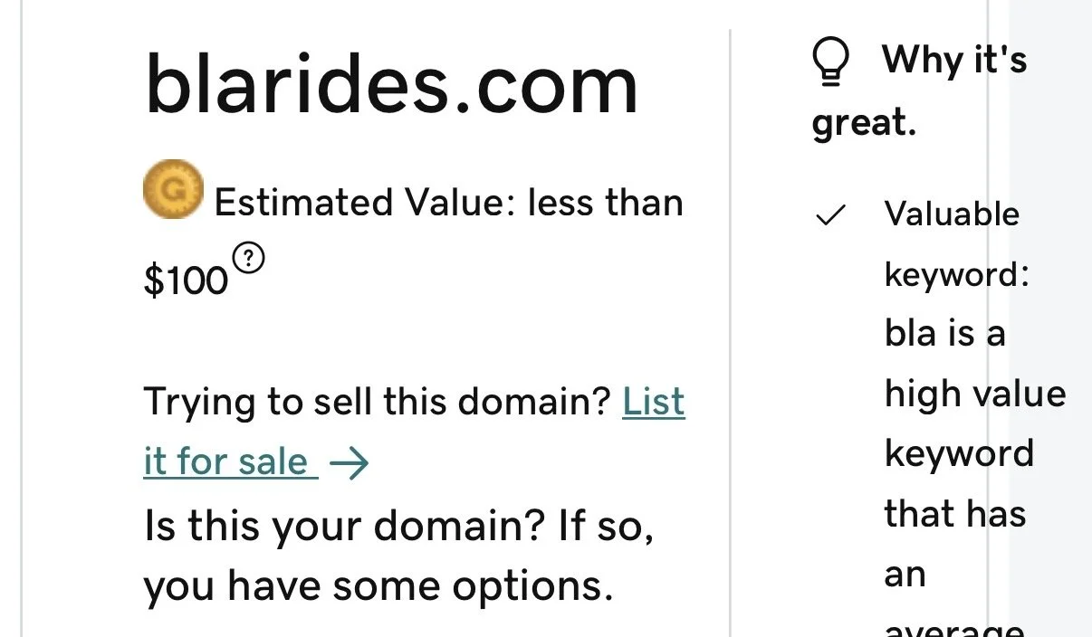 When will blarides.com show up in a Google search for Brainerd taxi and when that day comes how many cars will be in the fleet and where in the state will he be?