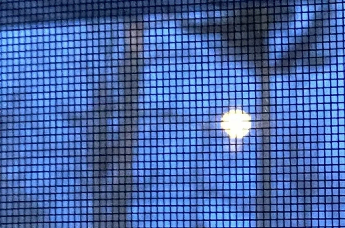 BLA Rides welcomes in 2026!