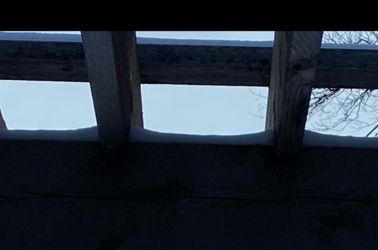 Got cabin fever? Break up the monotony and Call today and book a ride.