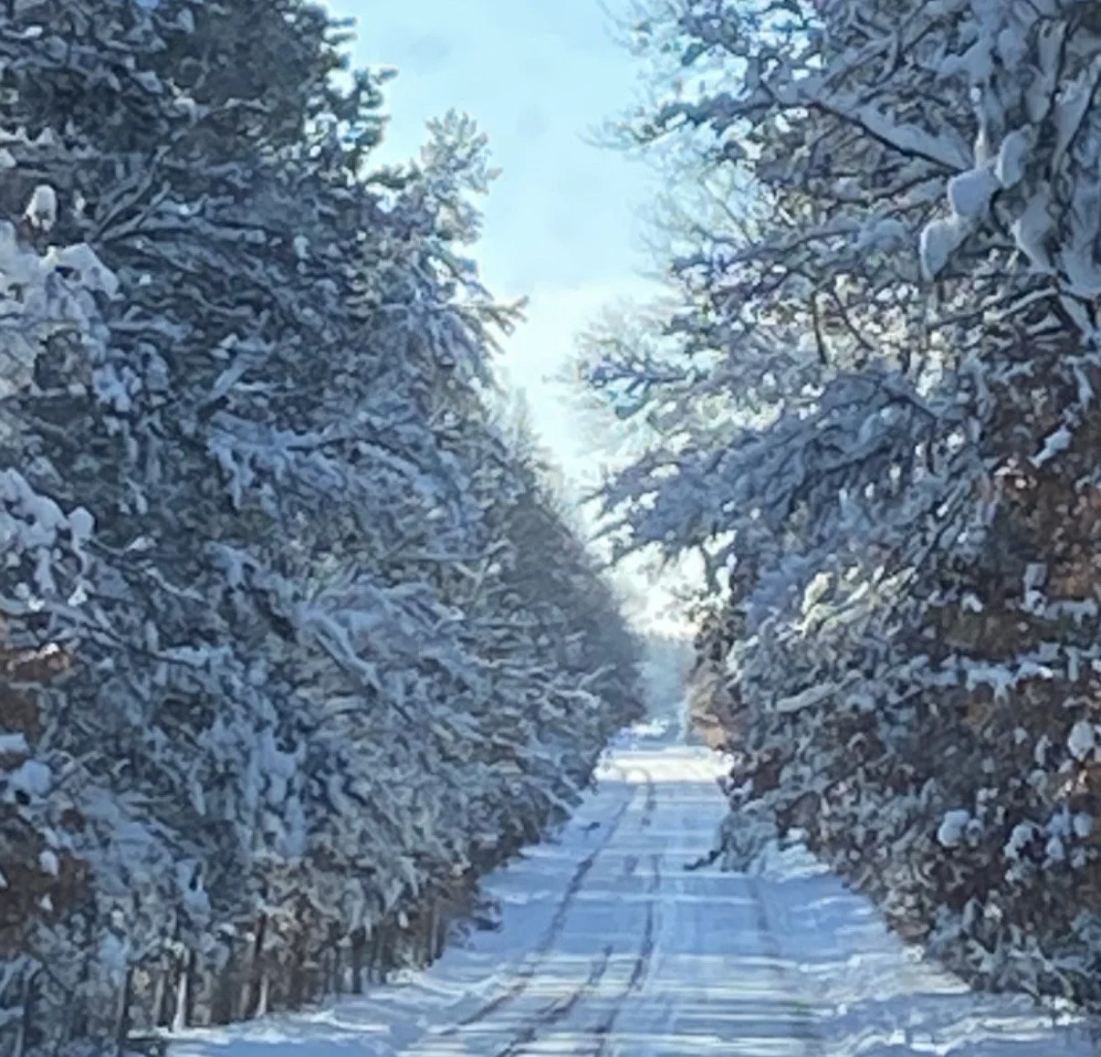 It’s gonna be a long winter so get out give me a call