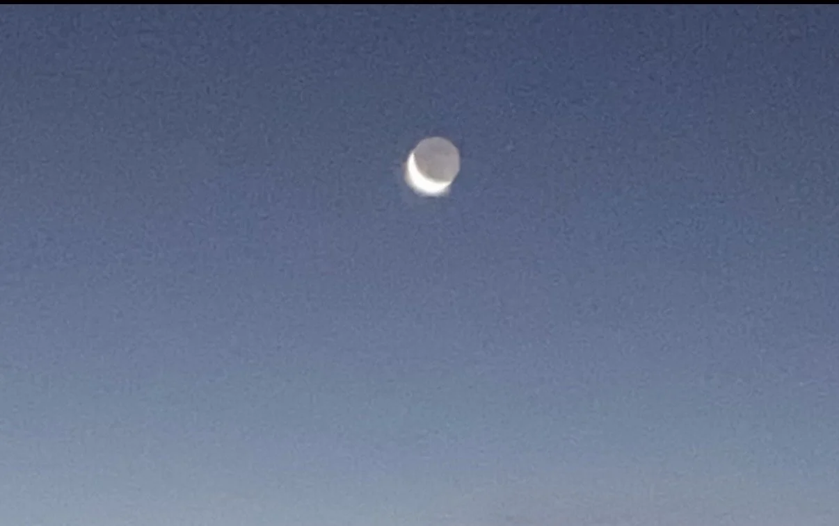 See the moon? Need a ride?