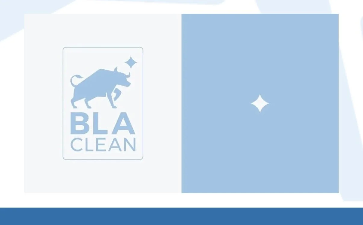 BLA Clean is established and very meticulous