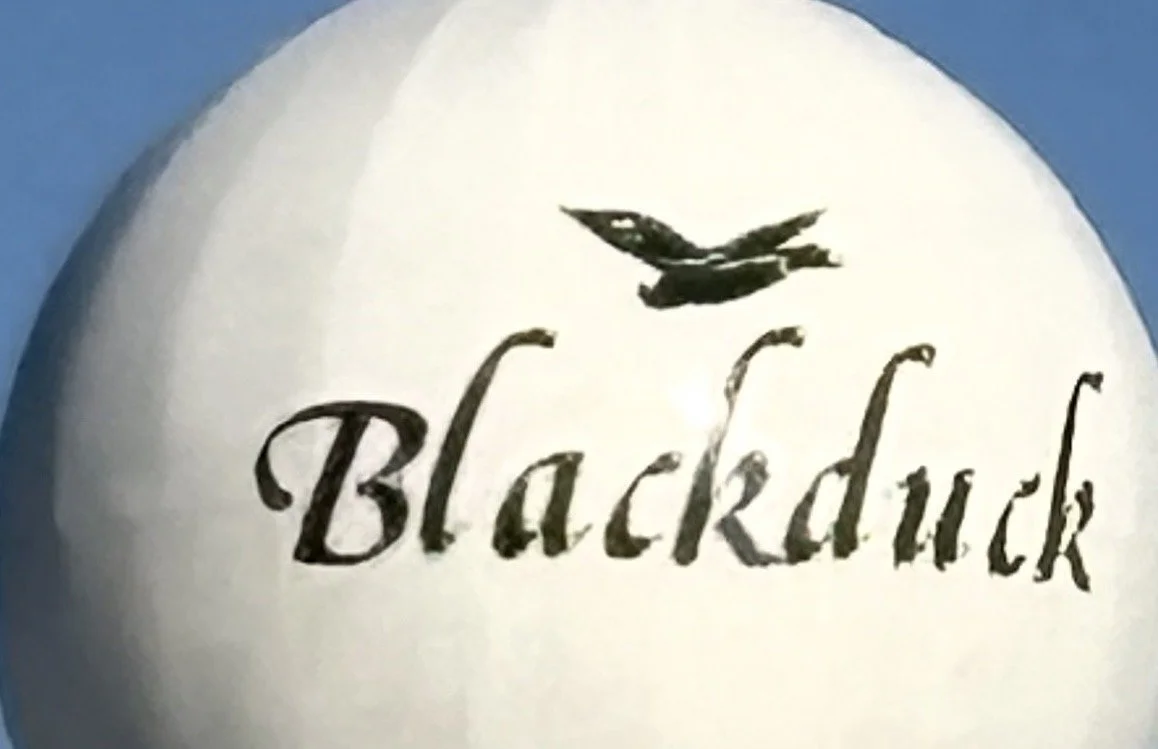 Anyone need a ride to Blackduck? I gotchoo!