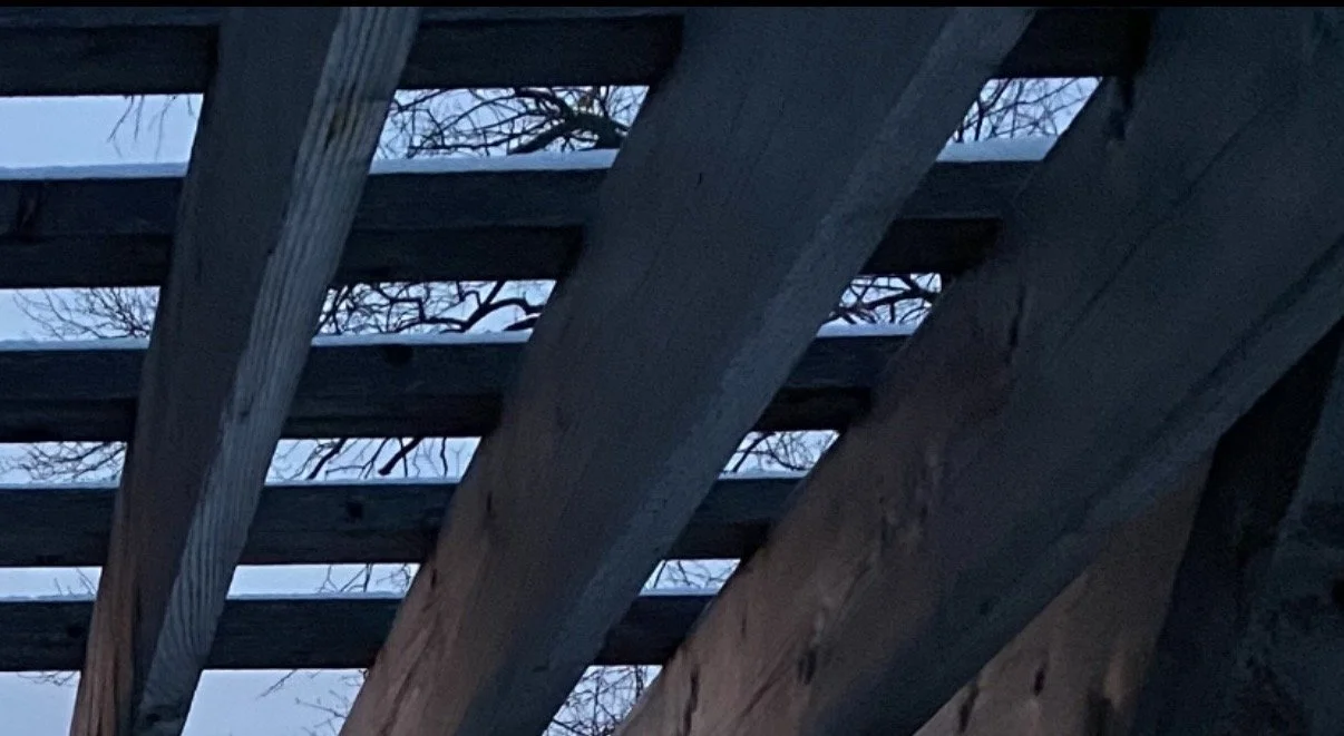 Need a ride? Wanna save? Ride with BLA Rides today