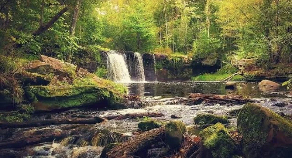  8 Great Road Trips To Take In Minnesota