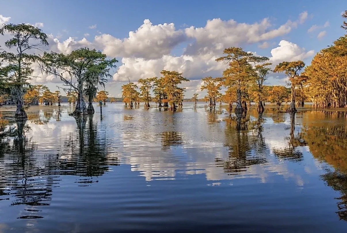 The Most Biodiverse Lakes In The US