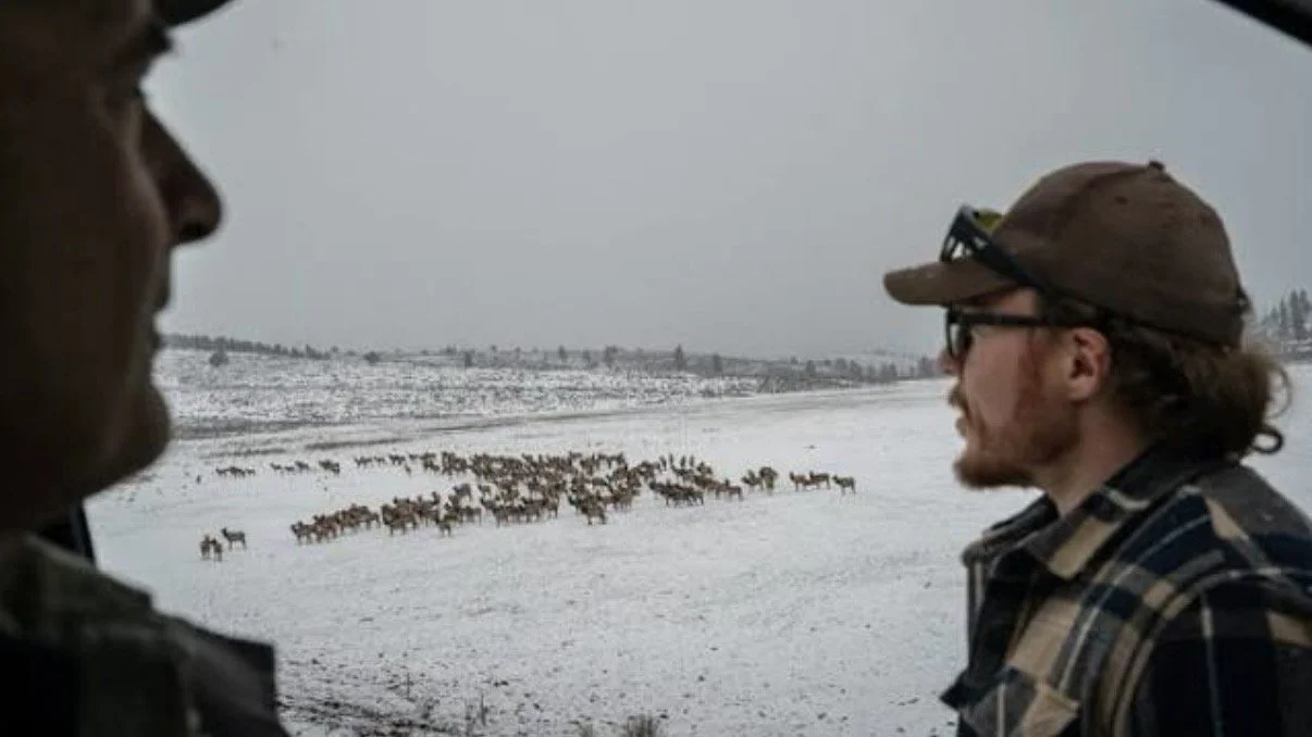 Shit, I just remembered that I had to go somewhere and then forgot to go