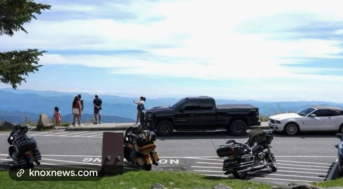 atheism anarchism maybe and asshole obviously and studded peace