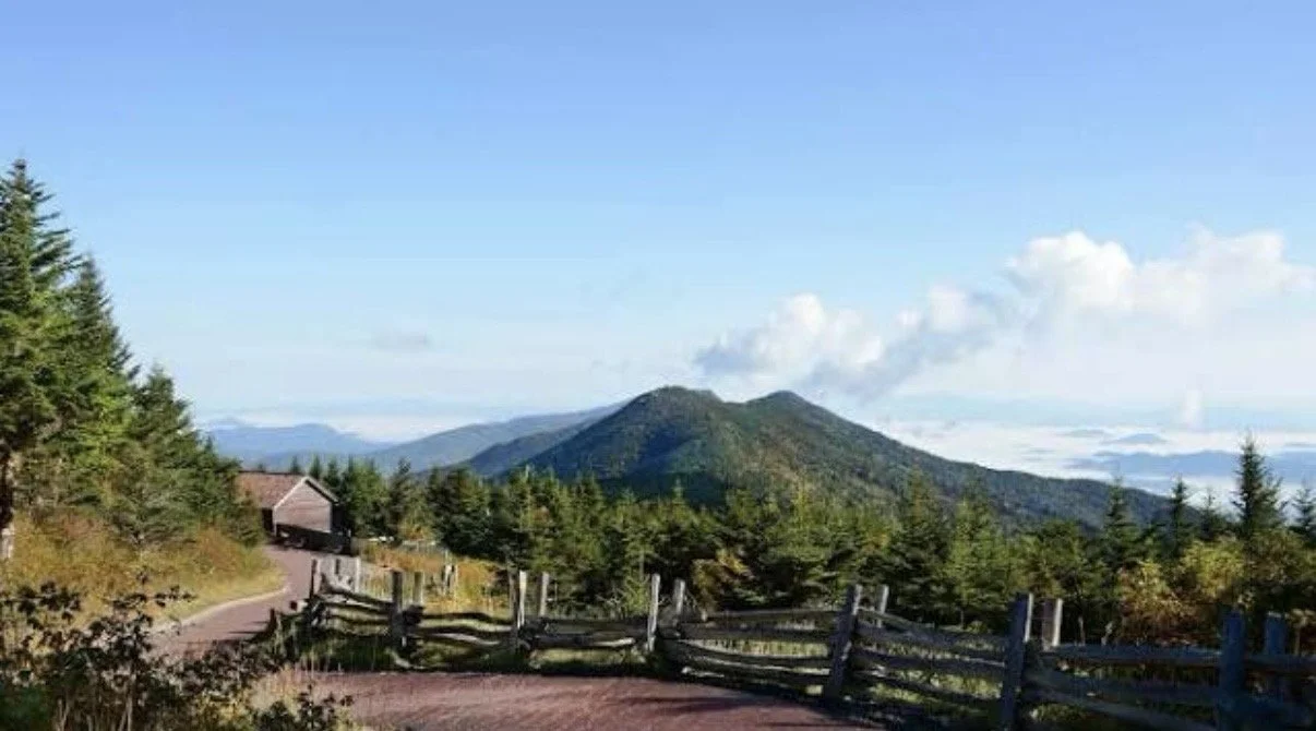 Where I wonder are my underwear?