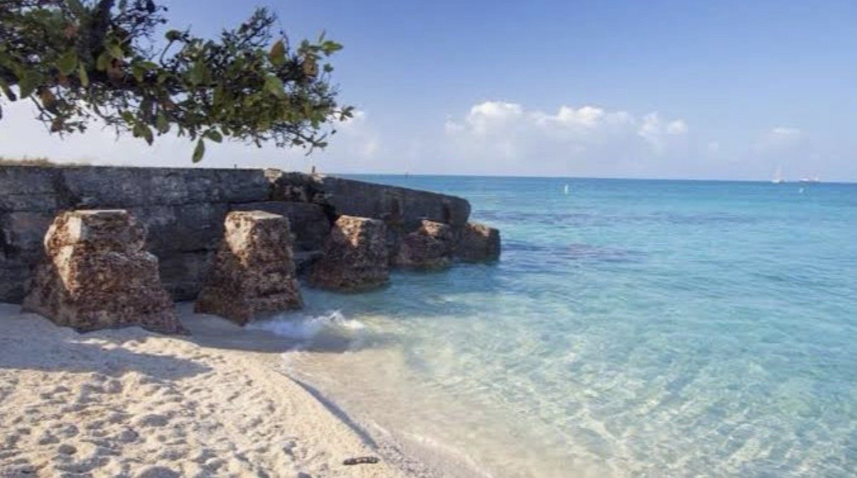 The girl on the bike