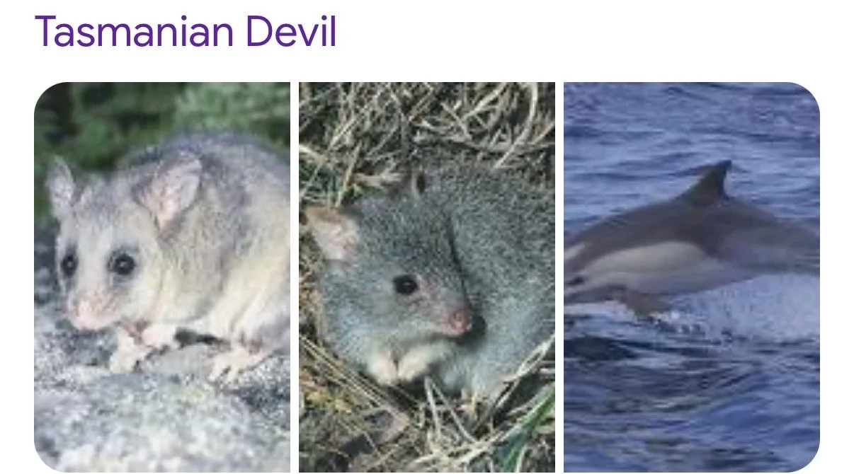 Tame the berserko no cure the insane 