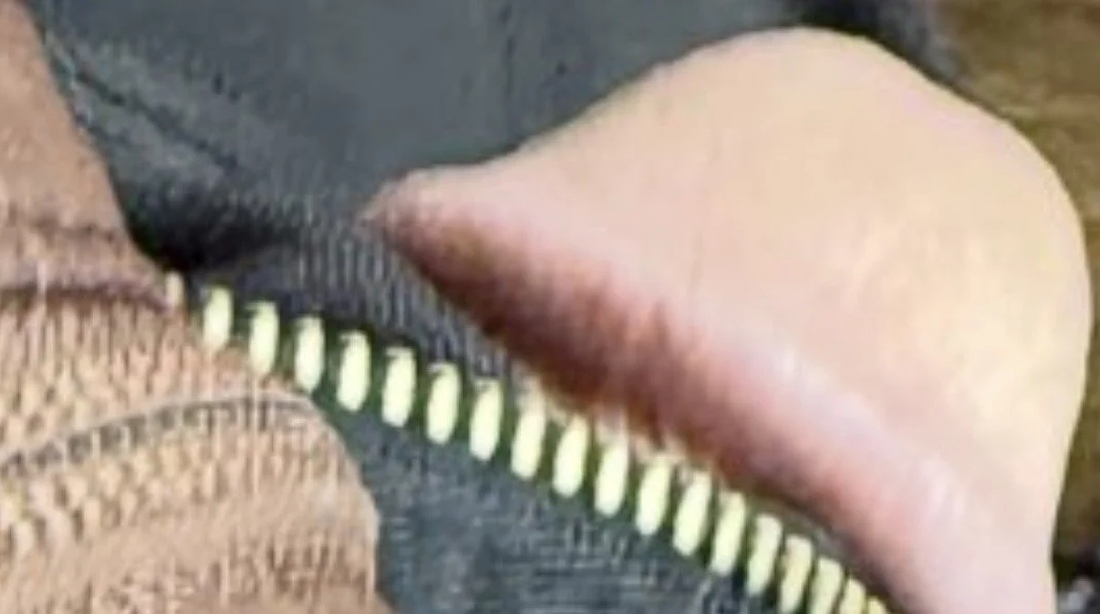 🤦🏽‍♂️🙈🐔🐧🐯🦁🦁