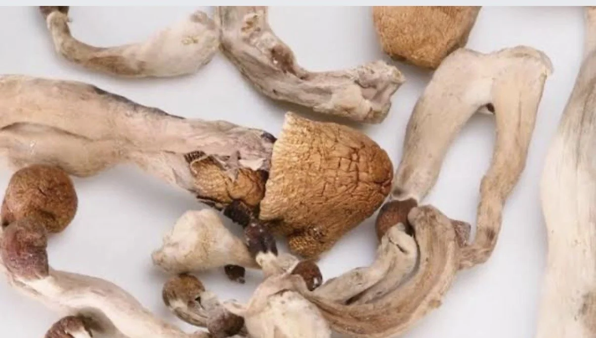 Fucking motherfuckers I got rubber bullets. Why are we always behind the curve on California or whatever you know what I mean are you serious boy I have not even getting started.