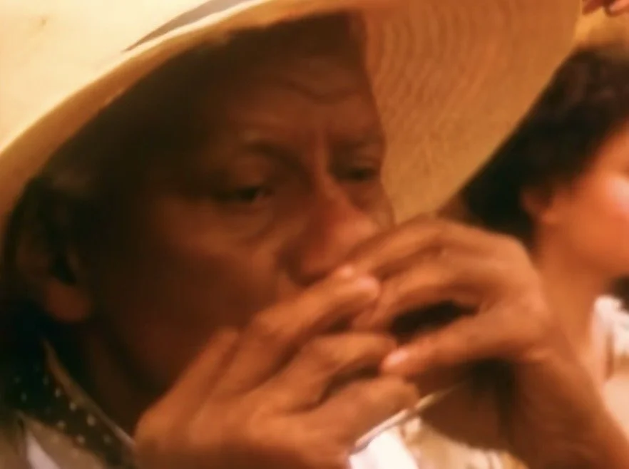 Kama, Kama, Kama, Kama Kama chameleon