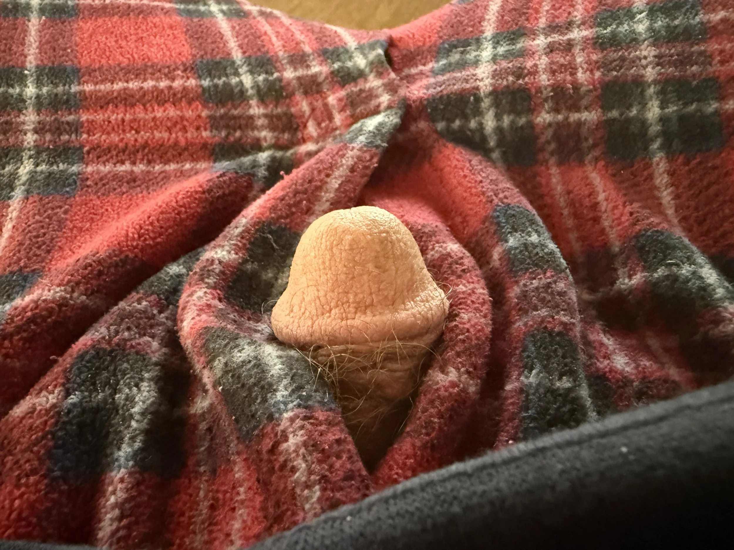 The little dick that could-a David and Goliath story