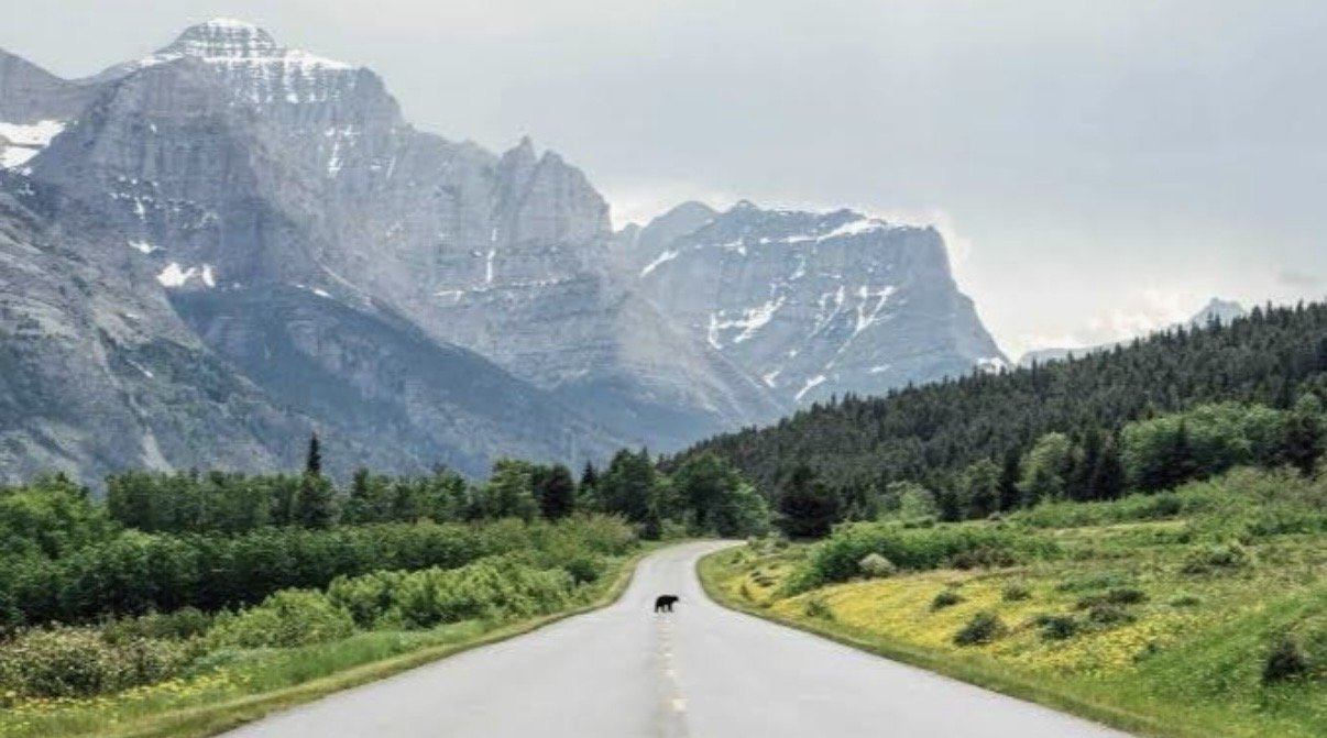  This 5,600-mile Road Trip Covers 11 States and 12 of America's Best National Parks