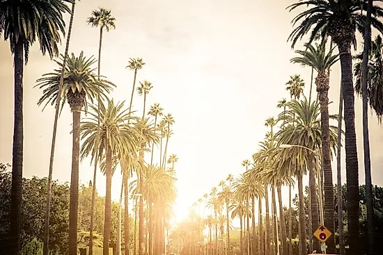 6 Weird Things To Do In Los Angeles 🌴