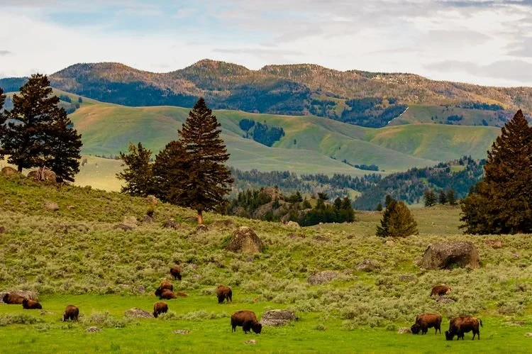 We Asked 7 Travel Experts Their Favorite U.S. Summer Destinations—and They All Picked This Region 🧏🏻
