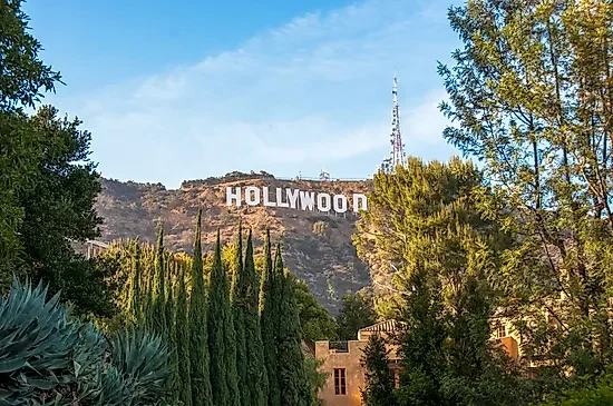 Which City Is Hollywood In? 🌴