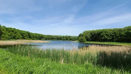 Between Sioux Falls And Minneapolis Is A Scenic Lake State Park With An Island Trail, A Beach, And Camping 🌲