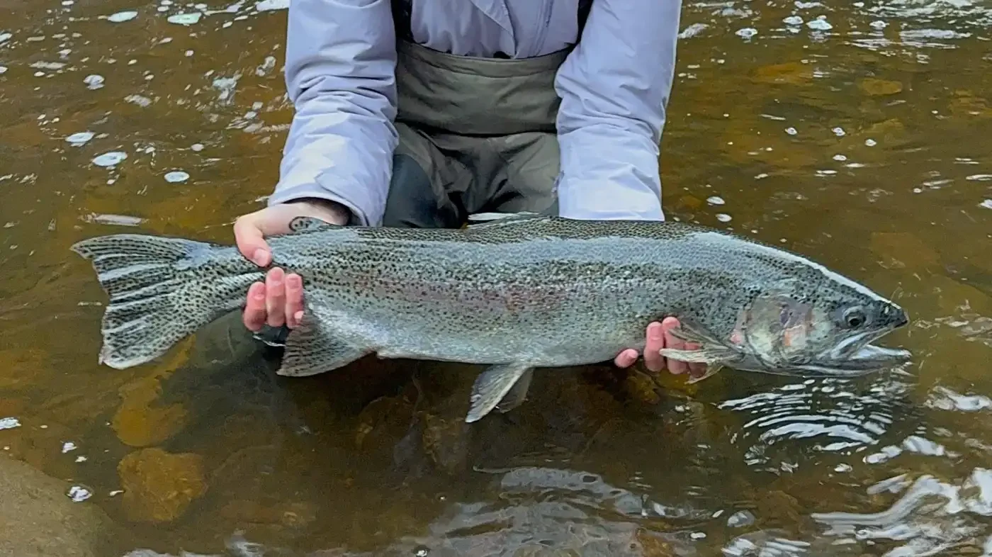 A 12-year-old Minnesota girl caught a 30-inch trout, breaking her older sister's state record 🎣