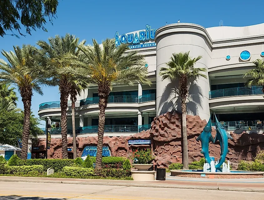 5 Of The Largest Aquariums In The US 🇺🇸