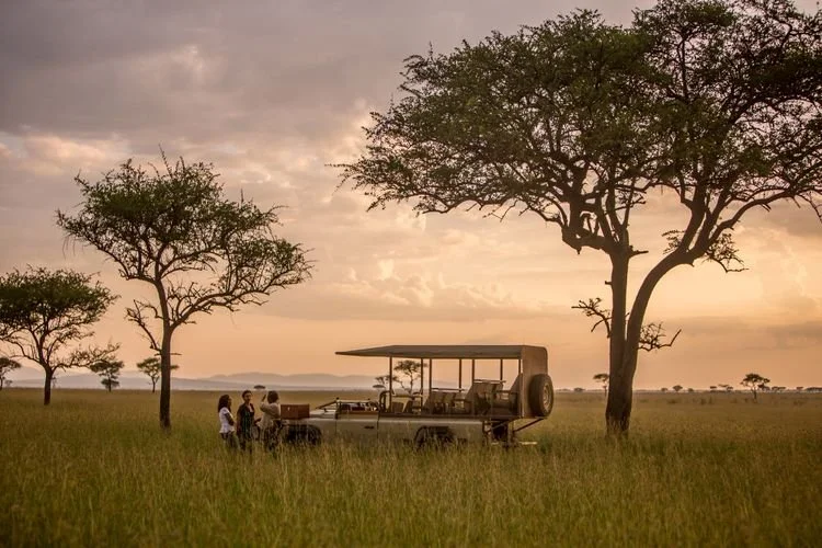 This Wildlife Reserve Is One of the Best Places to Safari—and I Saw Cheetahs, Giraffes, Hippos, and the Rare Eastern Black Rhino 🦏 