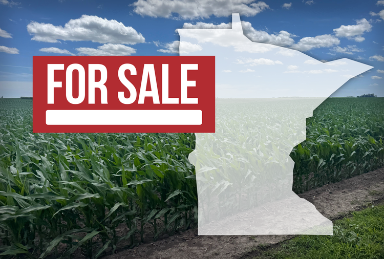 More Than 1,160 Acres of Minnesota Farmland Head to the Auction Block in July 2026 🌽