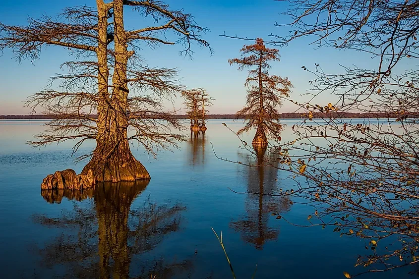 The Lakes Formed By Earthquakes In The United States 💧