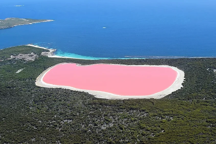 The Pink Lakes Of The World And Why They Are Pink 🤔