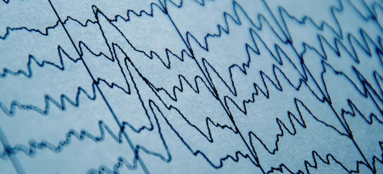 Electric fields help guide neural activity, even from moment to moment 🧠