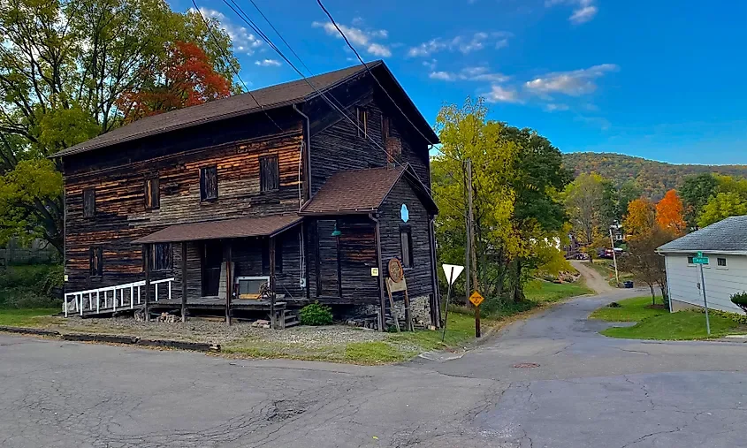 This Is The Finger Lakes' Quirkiest Little Town 🏡