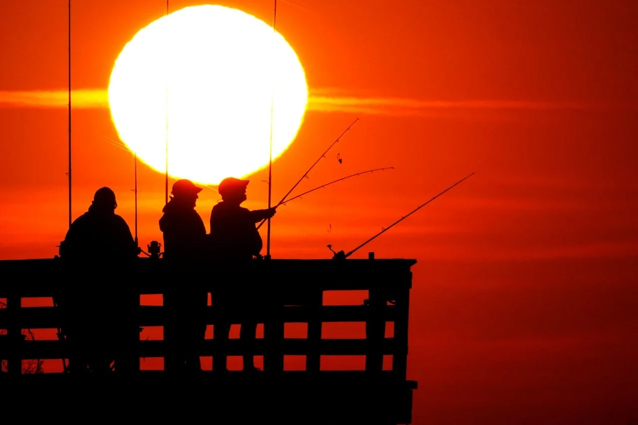 How to Fish With 20-Minute Rich 🎣