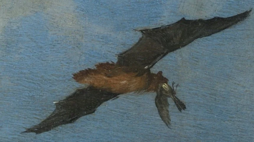 Bats can catch and eat birds mid-flight. A painter may have known that 400 years before scientists 🦇